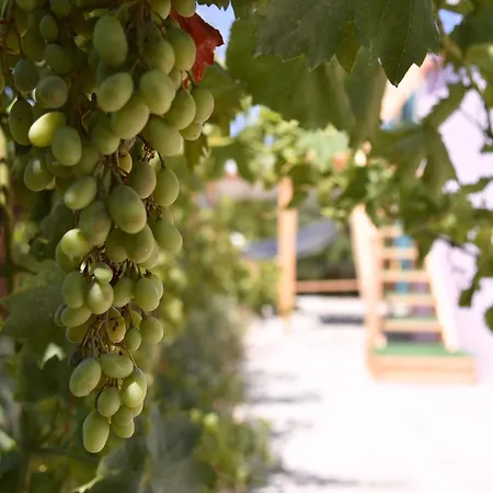 Prázdninový dům Oasis With Private Hammam-style Bath, Mini Golf Potokáki
