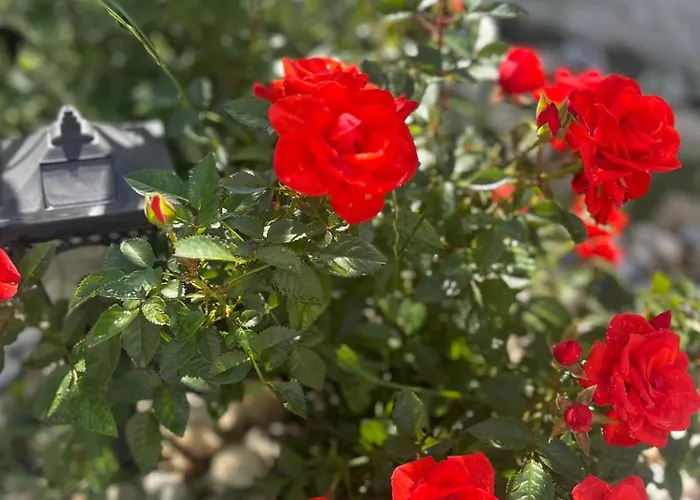 Oasis With Private Hammam-style Bath, Mini Golf Prázdninový dům Potokáki