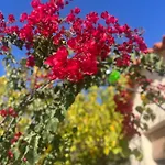 Holiday Oasis With Private Hammam-Style Bath Luxury Garden * Ποτοκάκι