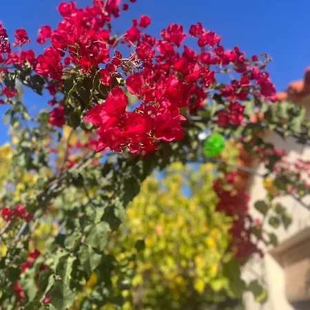 Oasis With Private Hammam-style Bath, Mini Golf * Potokáki
