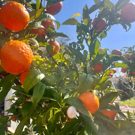 Oasis With Private Hammam-style Bath, Mini Golf Potokáki