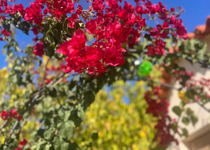 Oasis With Private Hammam-style Bath, Mini Golf * Potokáki