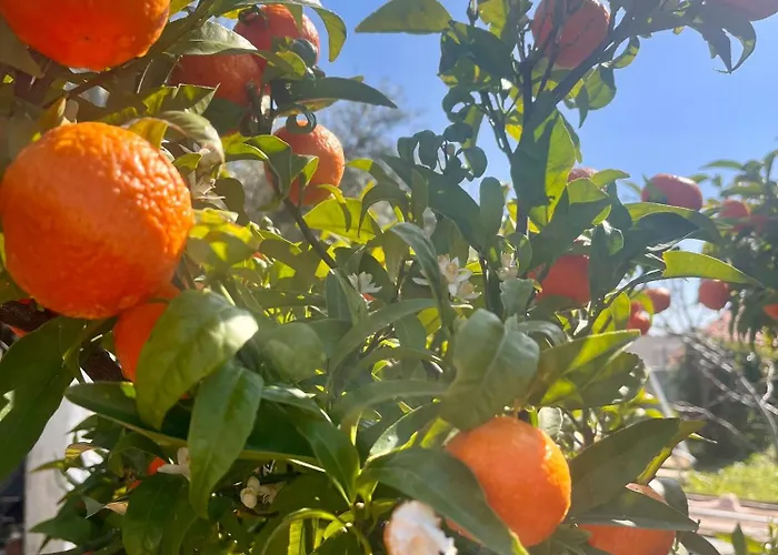 Oasis With Private Hammam-style Bath, Mini Golf Potokaki